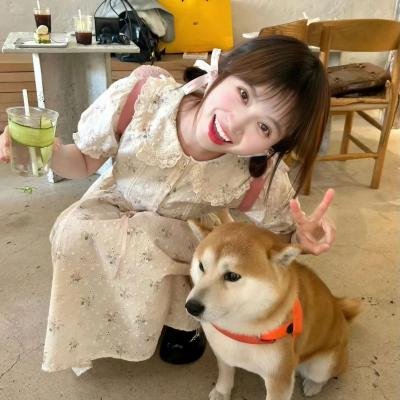 边境幻梦 在线观看封面