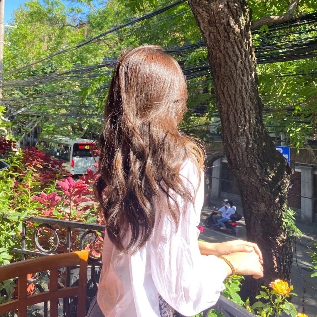 生命之旅粤语 在线观看封面